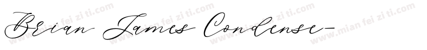 Brian James Condense字体转换